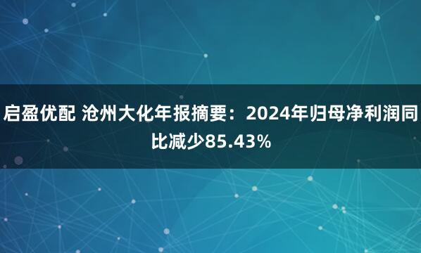 启盈优配 沧州大化年报摘要：2024年归母净利润同比减少85.43%