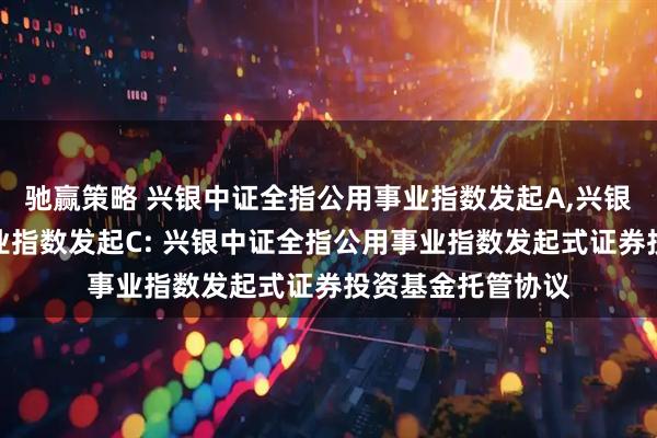 驰赢策略 兴银中证全指公用事业指数发起A,兴银中证全指公用事业指数发起C: 兴银中证全指公用事业指数发起式证券投资基金托管协议