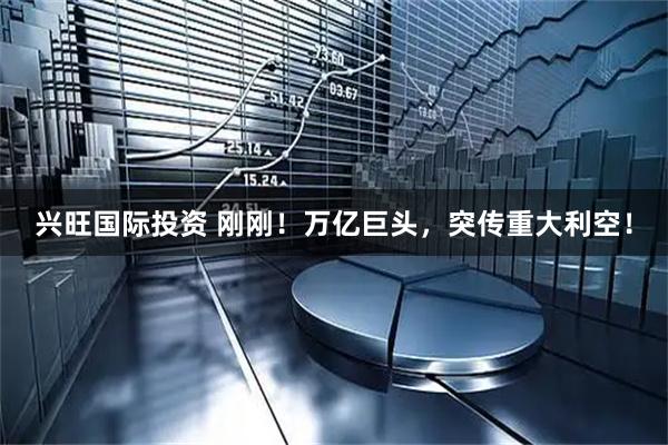 兴旺国际投资 刚刚！万亿巨头，突传重大利空！