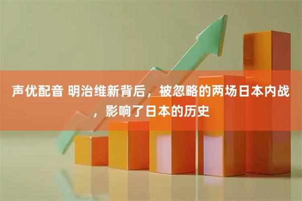 声优配音 明治维新背后,被忽略的两场日本内战,影响了日本的历史