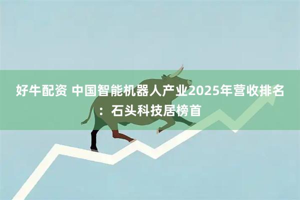 好牛配资 中国智能机器人产业2025年营收排名：石头科技居榜首