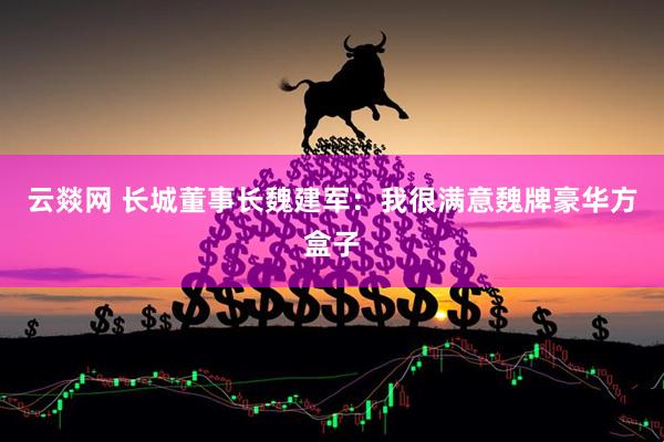云燚网 长城董事长魏建军：我很满意魏牌豪华方盒子
